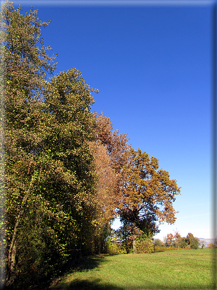 foto Paesaggi Autunnali tra le colline Fontesi